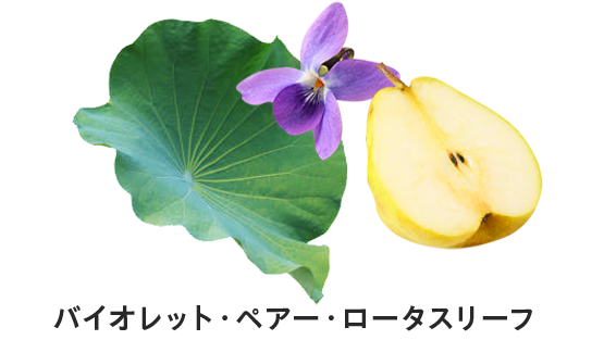 バイオレット・ペア―・ロータスリーフ