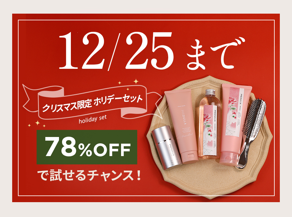トリュフ・メデュラ メゾン ド ラ トリュフ】 黒トリュフ入り ポテトチップス 約45g