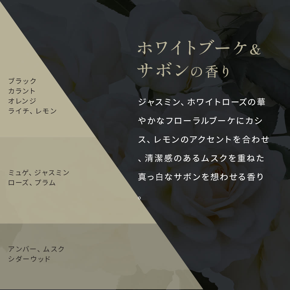 ジュエリー品質のケアステップと成分詳細