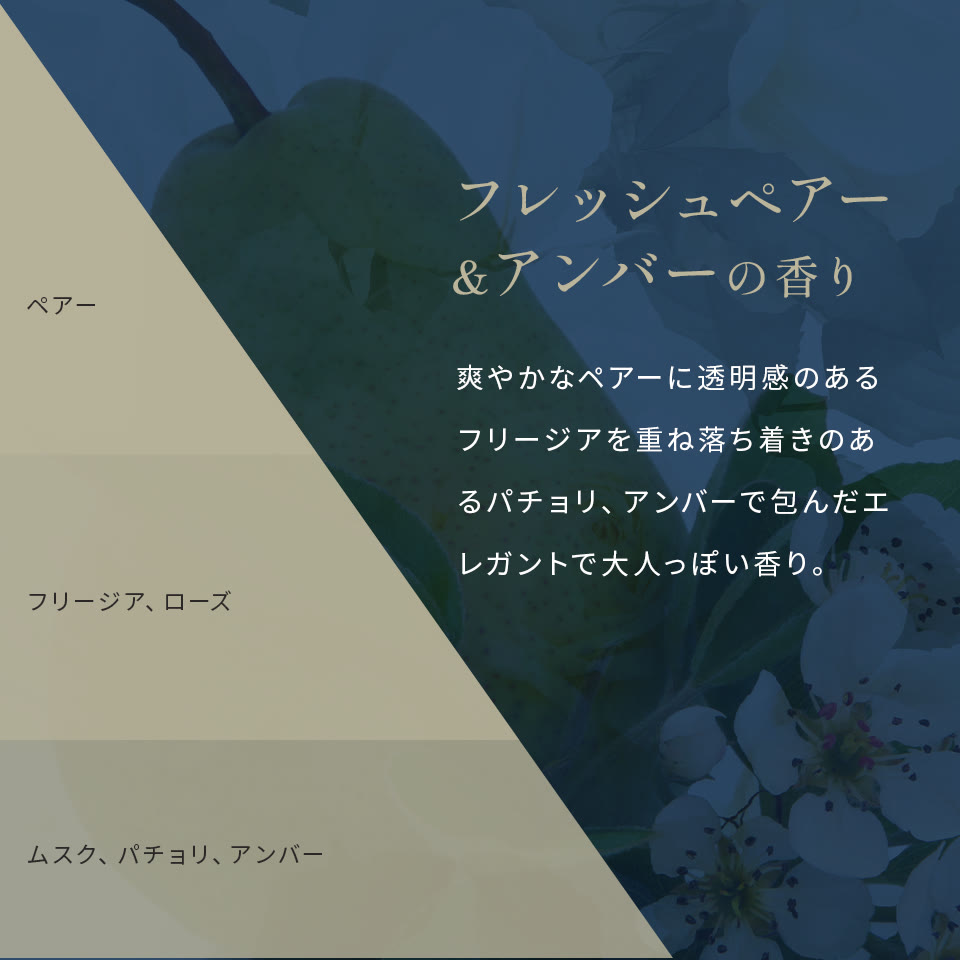 サファイアカプセルの使い方を紹介する構成