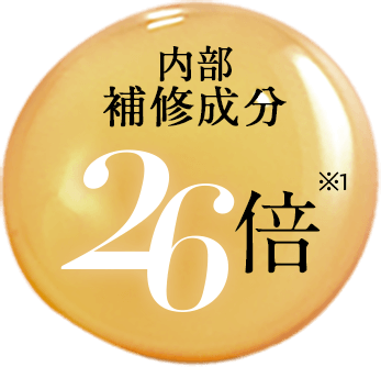 内部補修成分26倍