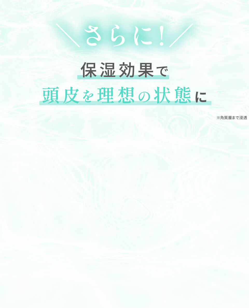 Ideal 瞬間補修
