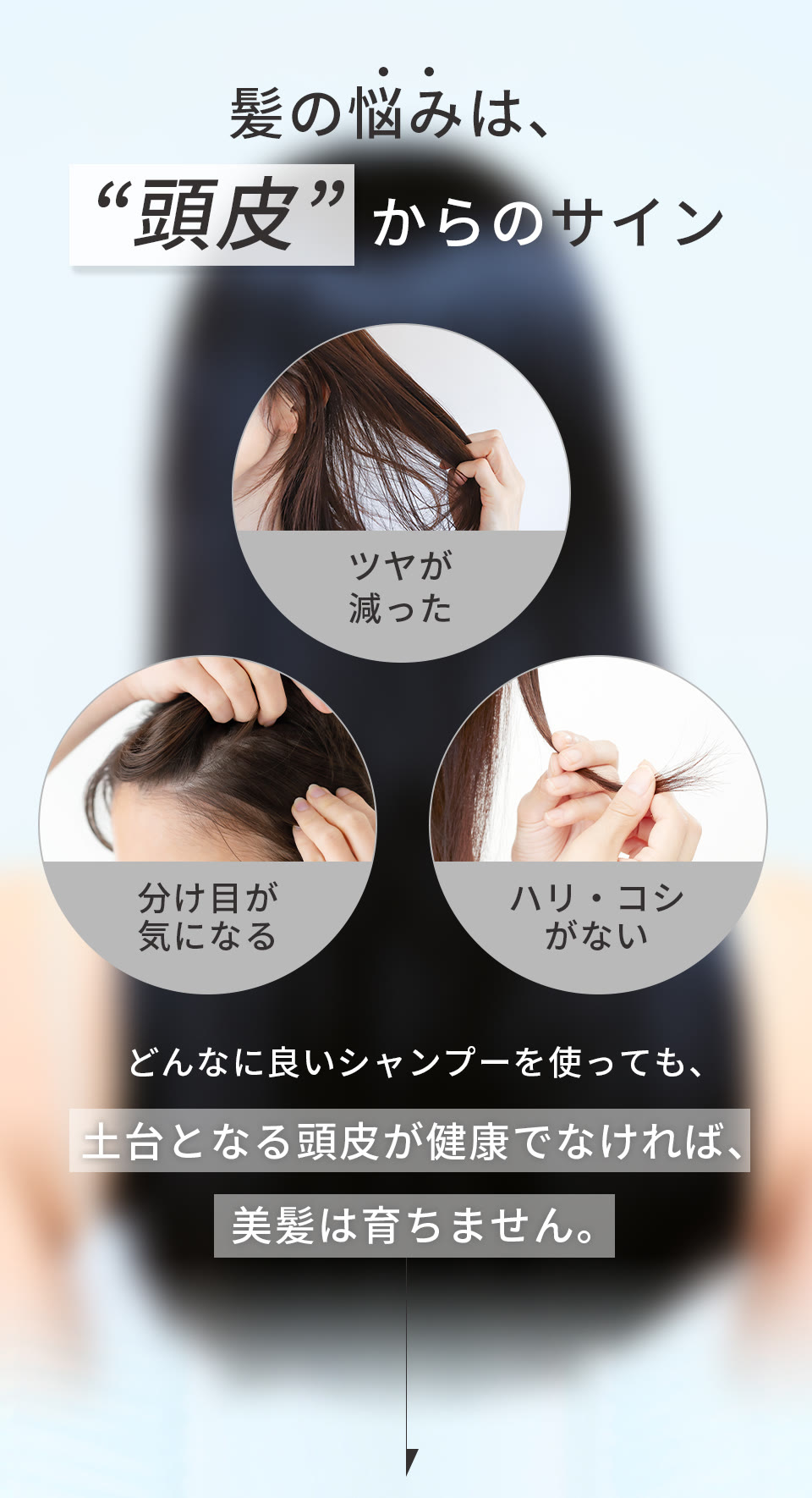 髪の悩みは頭皮からのサイン。ツヤが減った、分け目が気になる、ハリ・コシがない。どんなに良いシャンプーを使っても、土台となる頭皮が健康でなければ、美髪は育ちません。