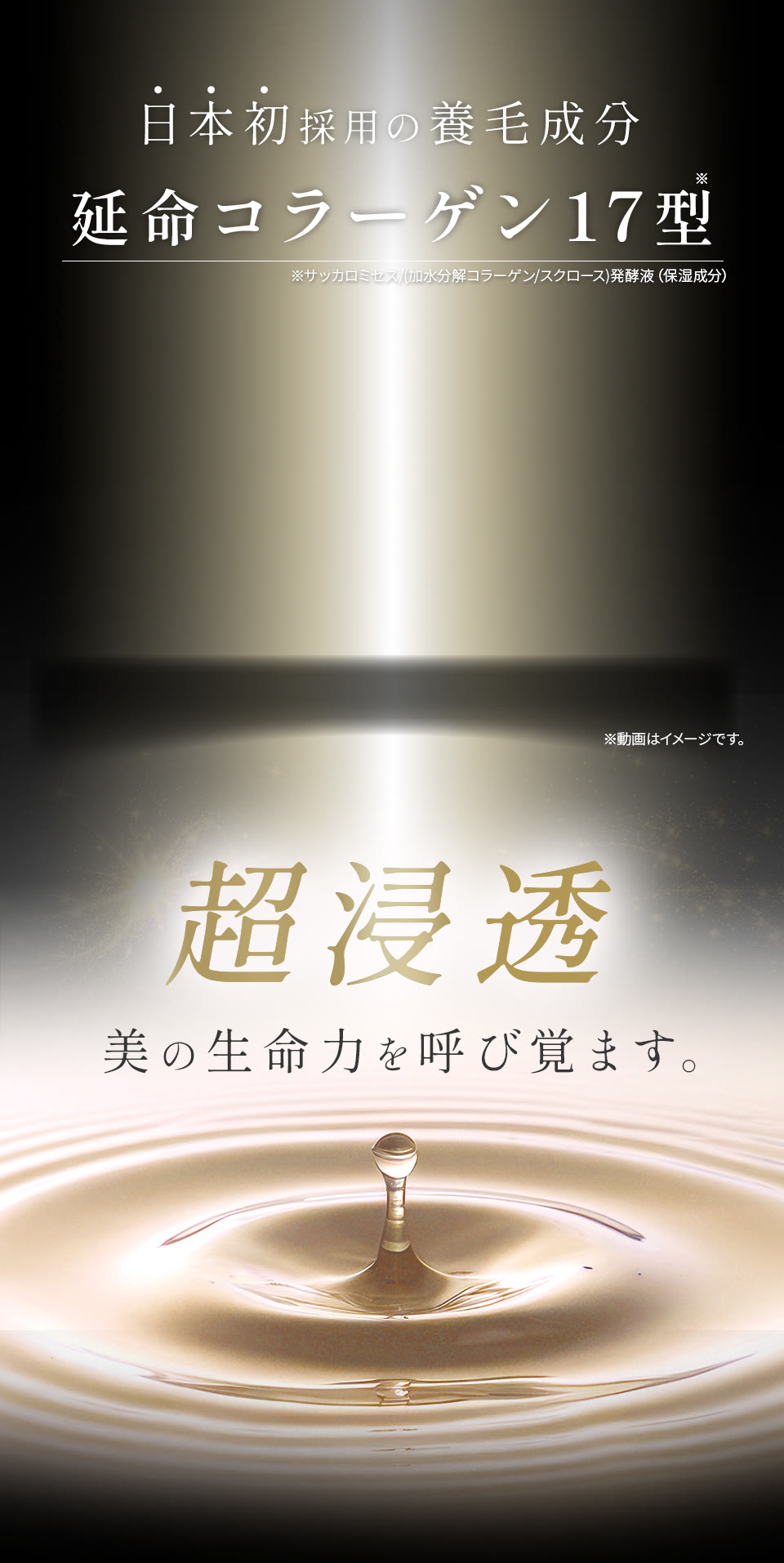 日本初採用の養毛成分 延命コラーゲン17型
