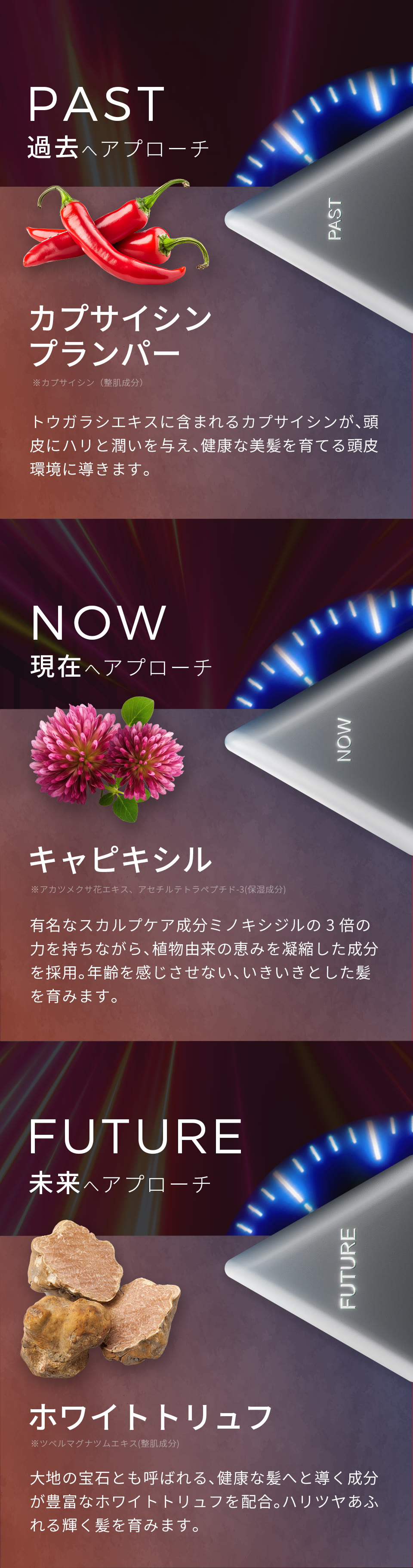 過去へアプローチ