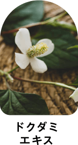 ドクダミエキス