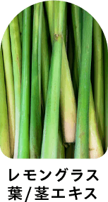 レモングラス葉/茎エキス