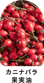 カニナバラ果実油