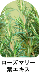 ローズマリー葉エキス